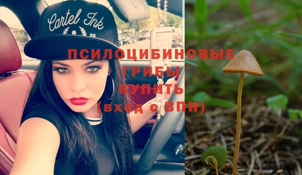 ALPHA PVP Белокуриха